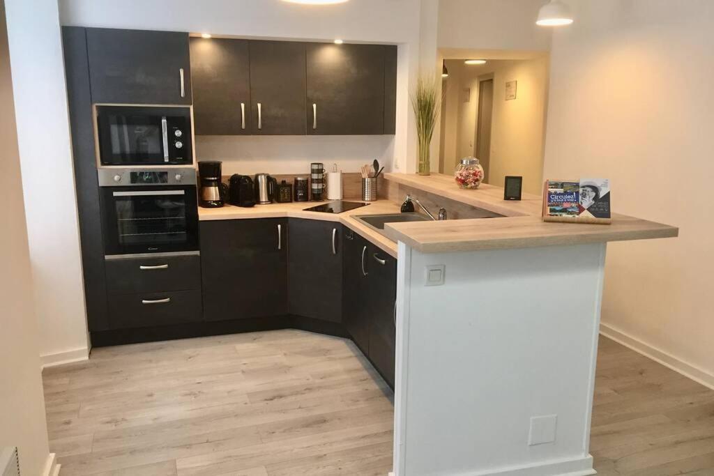 Le Montferrat - 65M2 - 2 Chambres - Rue De La Grotte - Hyper Centre Λούρδη Εξωτερικό φωτογραφία