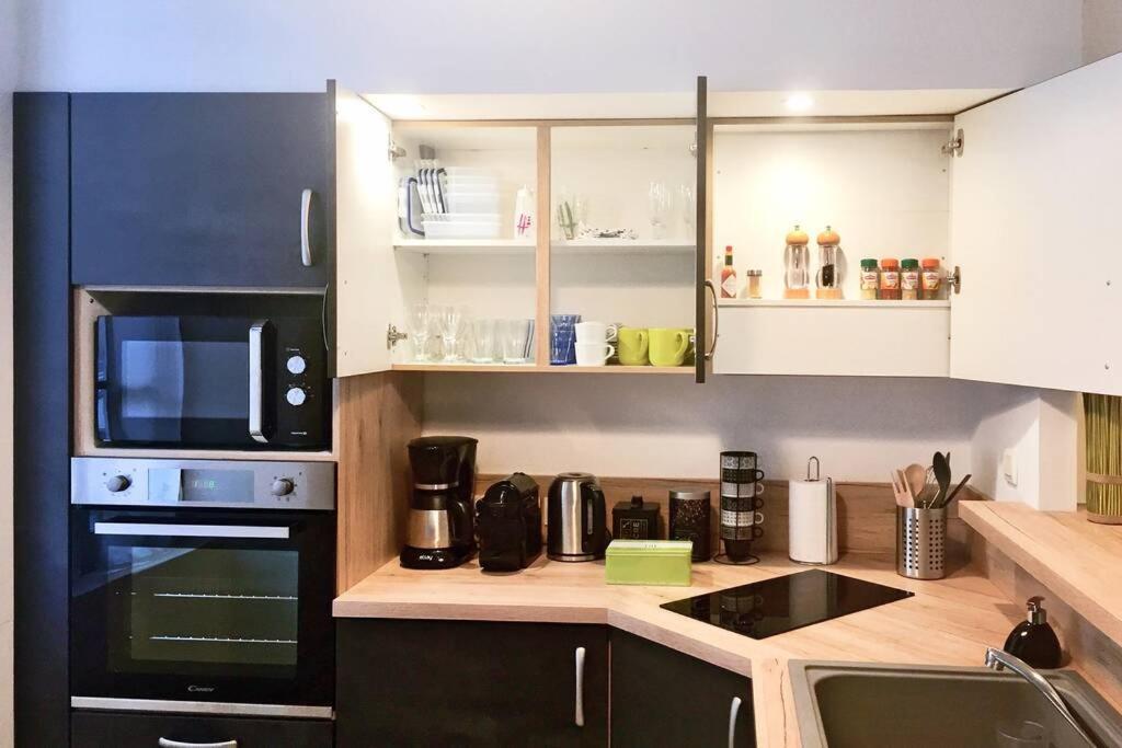 Le Montferrat - 65M2 - 2 Chambres - Rue De La Grotte - Hyper Centre Λούρδη Εξωτερικό φωτογραφία